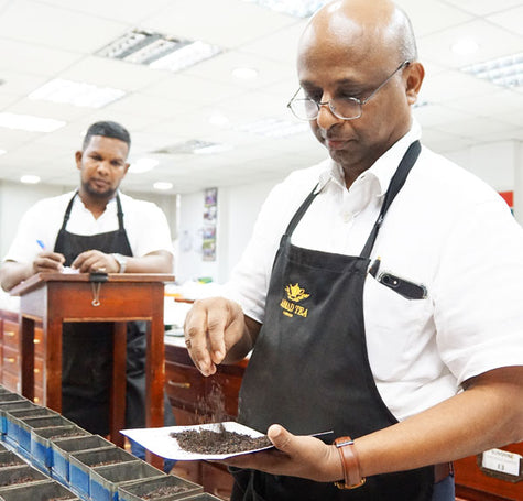 Our team in Colombo acts as a link between our UK headquarters and the various tea supply and packing operations in Sri Lanka,
